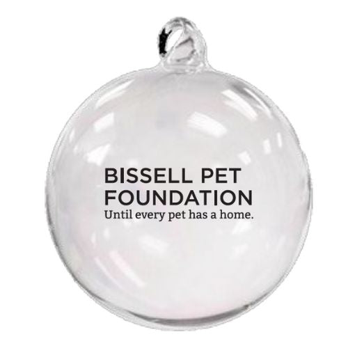 BPF Iridescent Ornament