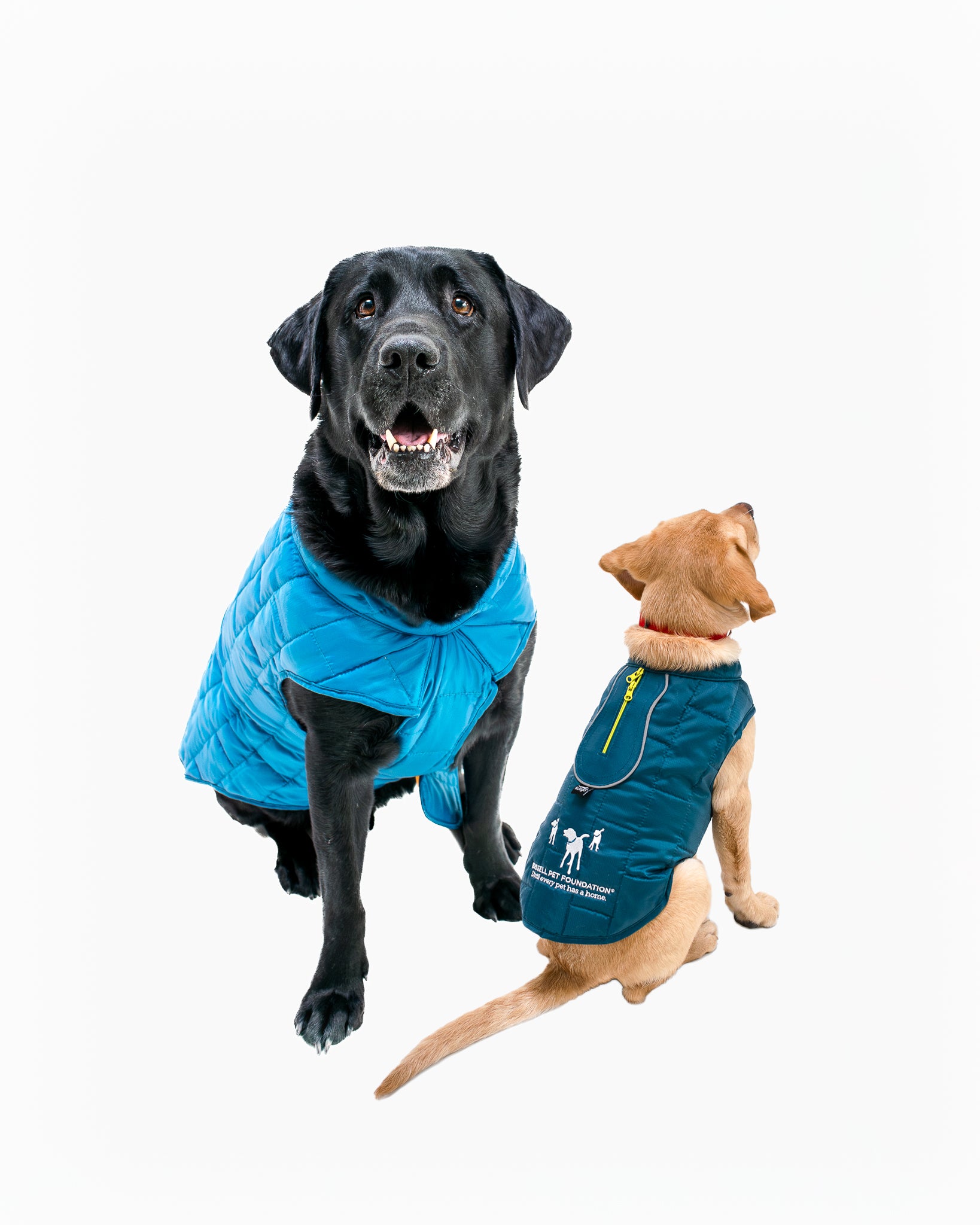 Kurgo Dog Coat – BISSELL Pet Foundation - Main Image