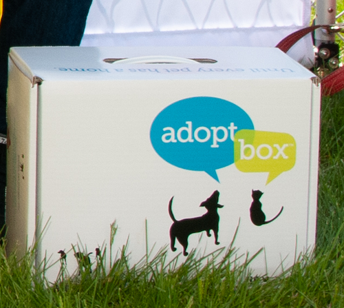 AdoptBox® Surprise Package