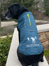 *BPF Kurgo Dog Coat