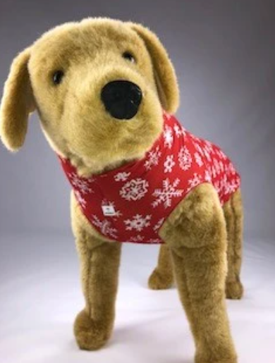 Pb and 2024 jammies dog pajamas